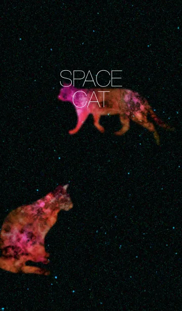 [LINE着せ替え] SPACE CAT#1の画像1