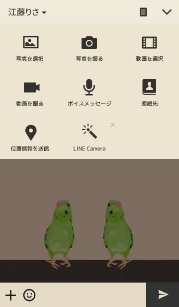 [LINE着せ替え] MY LOVELY PARROT2の画像4