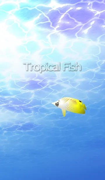 [LINE着せ替え] Tropical Fishの画像1
