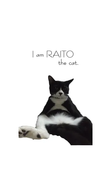 [LINE着せ替え] I am RAITO the cat.の画像1