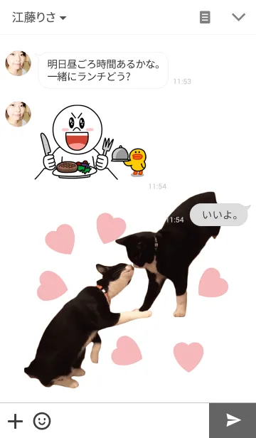 [LINE着せ替え] I am RAITO the cat.の画像3