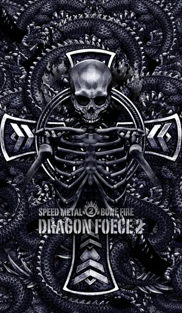 [LINE着せ替え] ドラゴンフォース 2の画像1