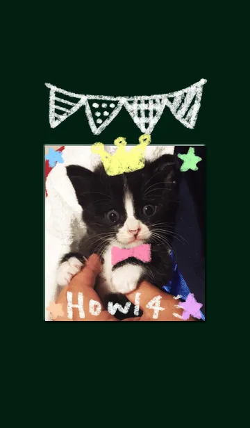 [LINE着せ替え] ハウル4の画像1