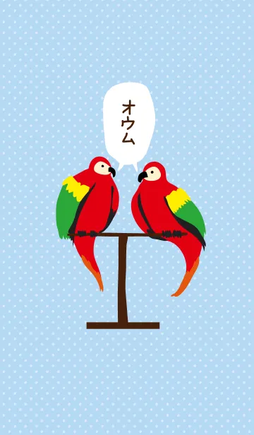 [LINE着せ替え] オウムさんの画像1