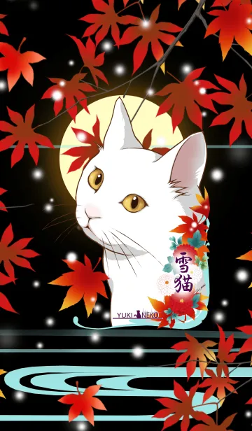 [LINE着せ替え] A snow cat YUKINEKOの画像1