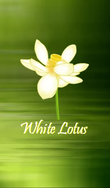 [LINE着せ替え] White Lotusの画像1