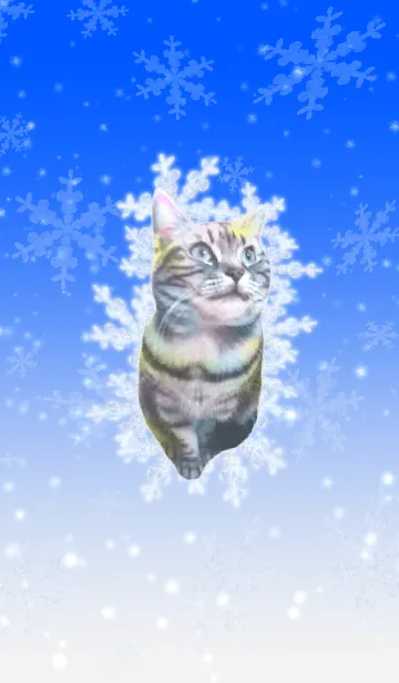 [LINE着せ替え] 雪の結晶×猫の画像1
