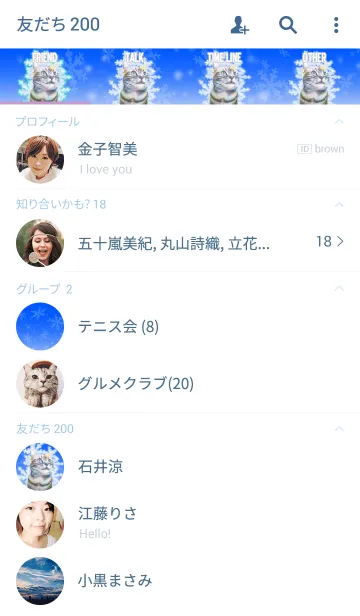 [LINE着せ替え] 雪の結晶×猫の画像2