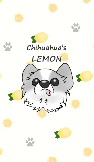 [LINE着せ替え] Chihuahua's LEMONの画像1