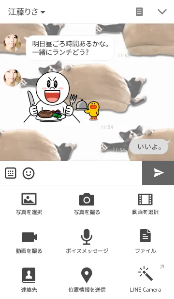 [LINE着せ替え] クッションの上のハウルの画像4