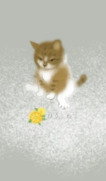 [LINE着せ替え] 猫と福寿草 ー 早春の画像1