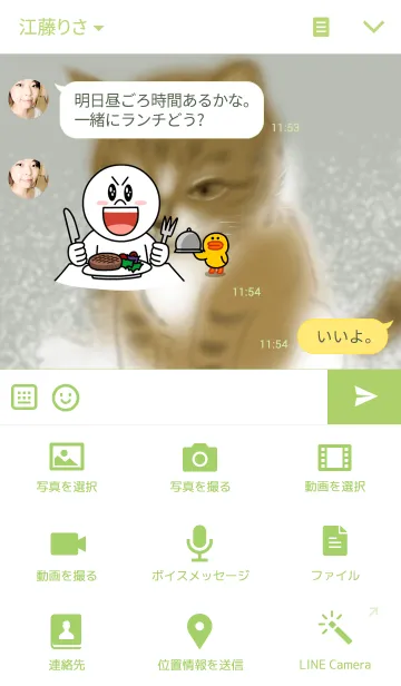 [LINE着せ替え] 猫と福寿草 ー 早春の画像4