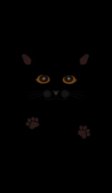 [LINE着せ替え] The mysterious black catの画像1