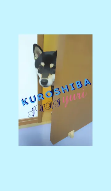 [LINE着せ替え] 黒柴 じゆりの画像1