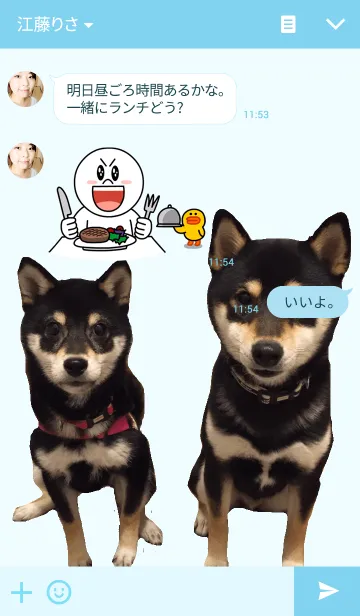 [LINE着せ替え] 黒柴 じゆりの画像3