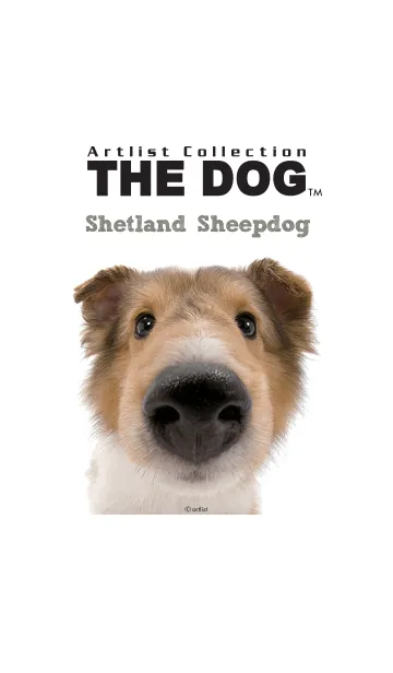 [LINE着せ替え] THE DOG シェットランド・シープドッグの画像1