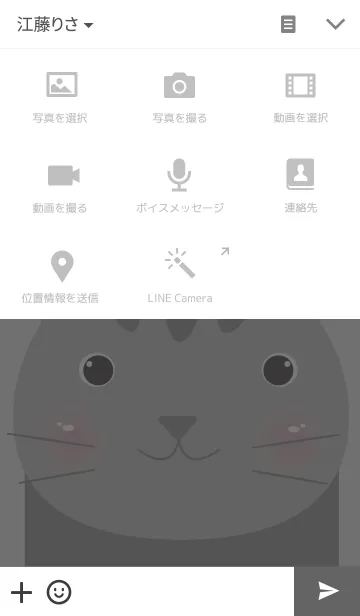[LINE着せ替え] Simple gray cat themeの画像4