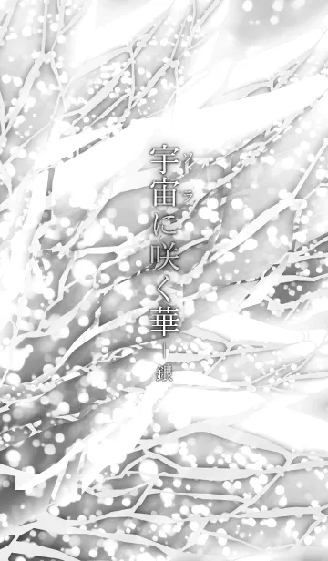 宇宙（ソラ）に咲く華-銀の着せ替えメイン画像