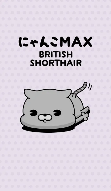 [LINE着せ替え] にゃんこMAX（ブリショー）の画像1