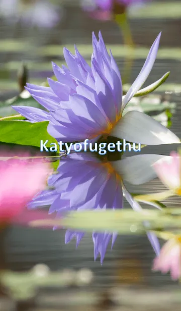 [LINE着せ替え] katyofugethuの画像1