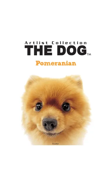 [LINE着せ替え] THE DOG ポメラニアンの画像1