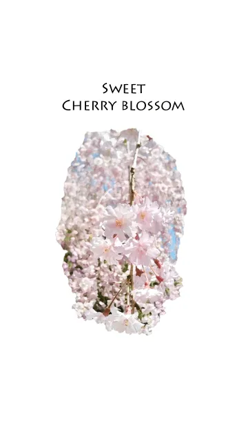 [LINE着せ替え] Sweet Cherry Blossomの画像1