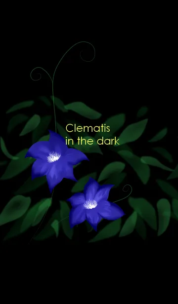 [LINE着せ替え] Clematis in the darkの画像1