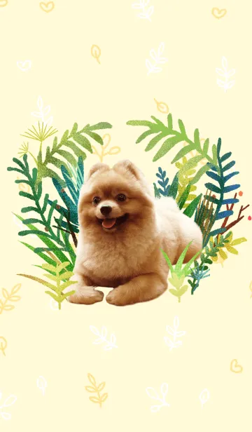 [LINE着せ替え] Wang Wang woof！ woof！の画像1