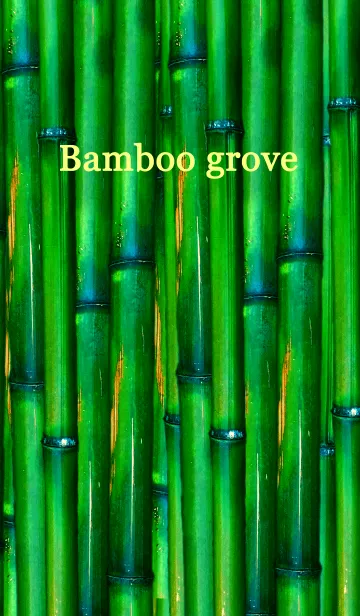 [LINE着せ替え] 竹林 ～ Bamboo grove～の画像1