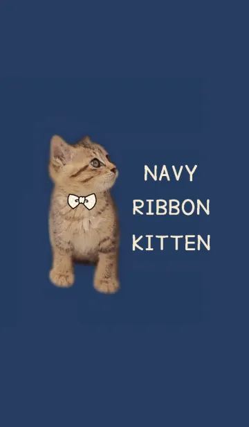[LINE着せ替え] ♡NAVY RIBBON KITTEN♡の画像1