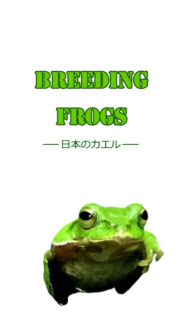 [LINE着せ替え] Breeding frogs 日本のカエルの画像1