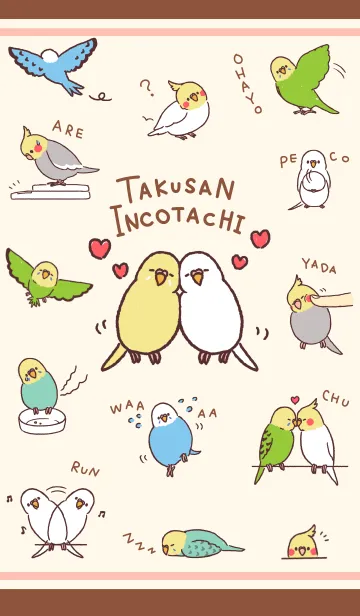 たくさんインコたちの着せ替えメイン画像