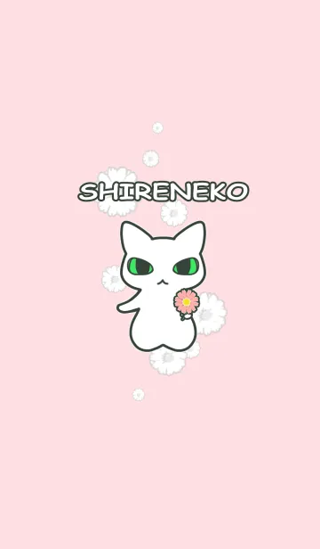[LINE着せ替え] SHIRENEKOの画像1