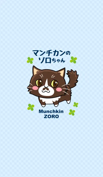 マンチカンのゾロちゃんのLINE着せ替え