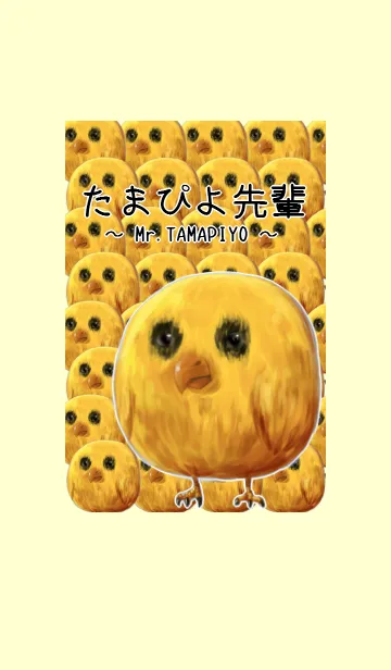 たまぴよ先輩 着せかえver.のLINE着せ替え