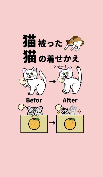 [LINE着せ替え] 猫被った猫の着せかえの画像1