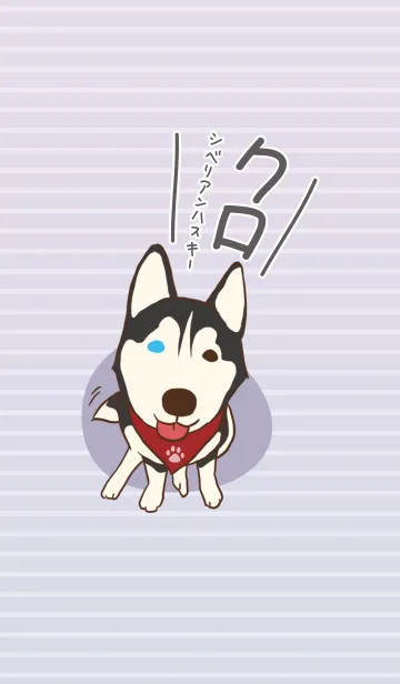 [LINE着せ替え] Kuro Siberian Huskyの画像1