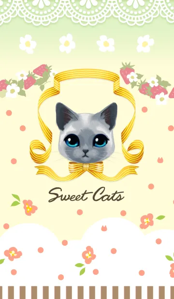 [LINE着せ替え] 子猫だらけ-SweetCats-の画像1