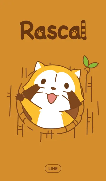 あらいぐまラスカルのLINE着せ替え