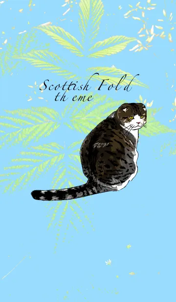 [LINE着せ替え] Scottish Fold themeの画像1
