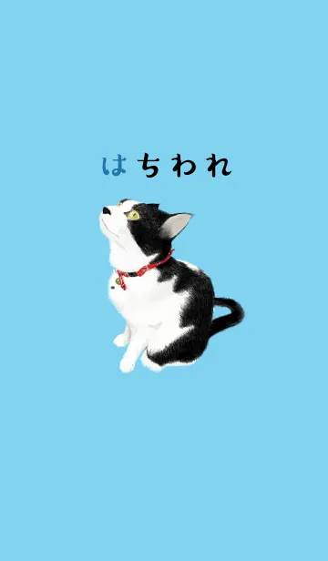 はちわれのLINE着せ替え