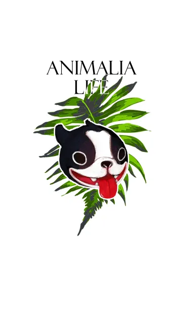 [LINE着せ替え] Animalia Lifeの画像1