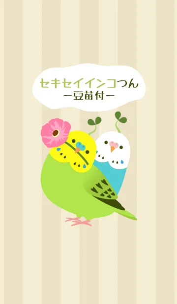 [LINE着せ替え] セキセイインコつん豆苗付の画像1