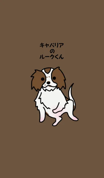 [LINE着せ替え] キャバリアのルークくんの画像1