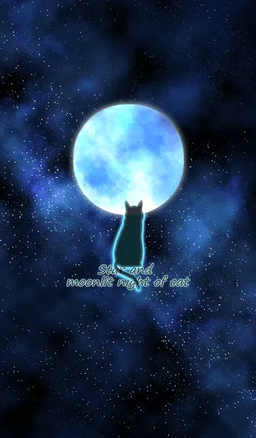 [LINE着せ替え] 星と月夜の猫の画像1