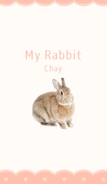 [LINE着せ替え] ♡My rabbit Chay♡の画像1