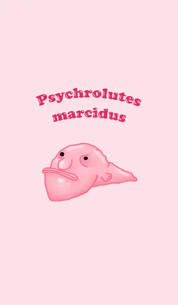 [LINE着せ替え] UGLY Psychrolutes marcidusの画像1