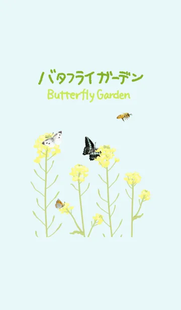 [LINE着せ替え] バタフライガーデンの画像1