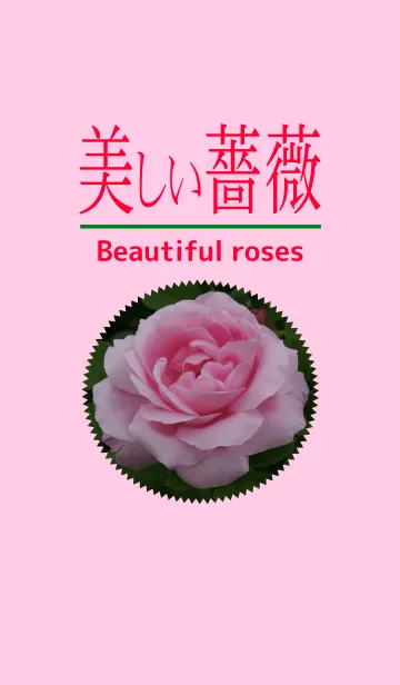 [LINE着せ替え] 美しい薔薇の画像1
