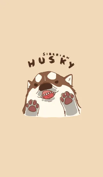 Taro Siberian Huskyの着せ替えメイン画像